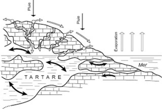 Anaxágoras y Platón