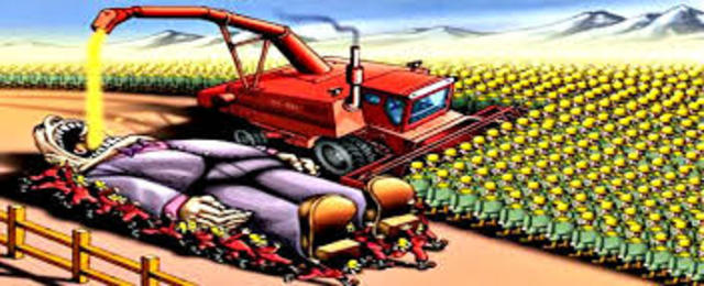 No existían las clases sociales