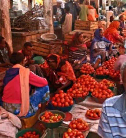 SE DIO LA COMERCIALIZACIÓN