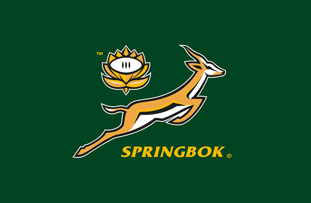Springboks Win The World Cup