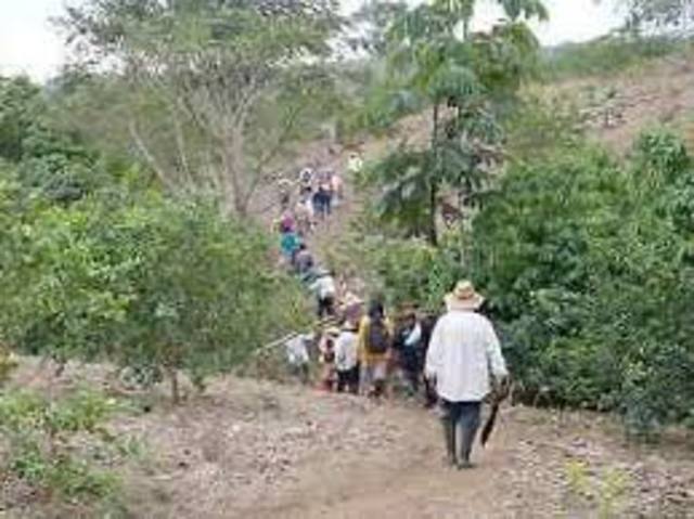 SE FORMA LA BRIGADA VOLUNTARIA FORESTAL URBANA