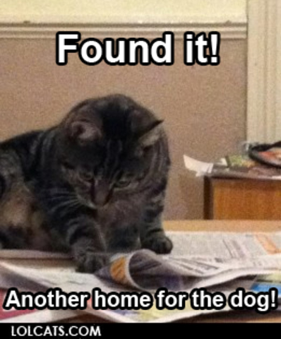 Donald trump assassinated