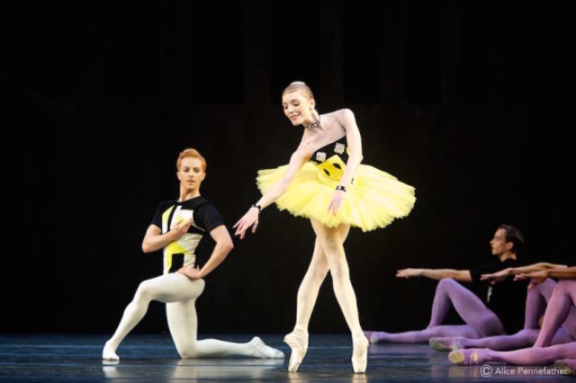 A Tragedy of Fashion