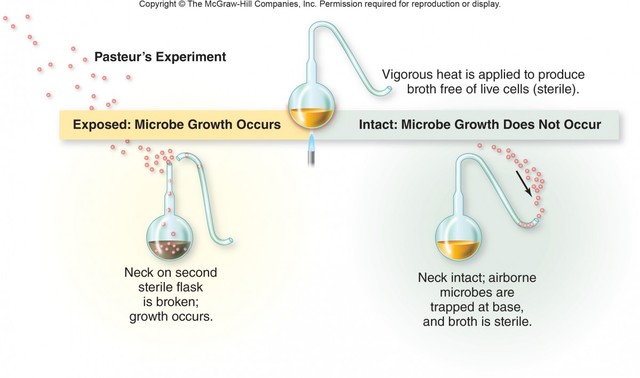 Spontaneous Generation put to a stop