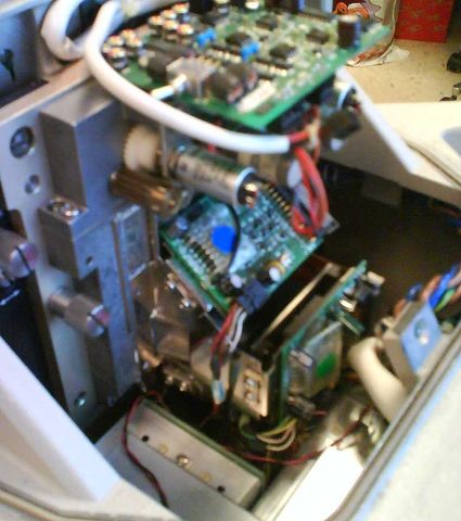 evolución y disminución de tamaño (1980)