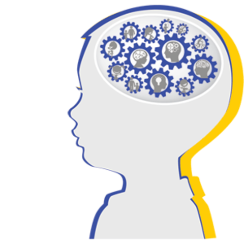 Cognitive Development