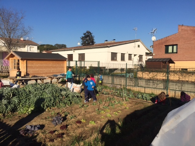 3r-A ARREGLAR L'HORT