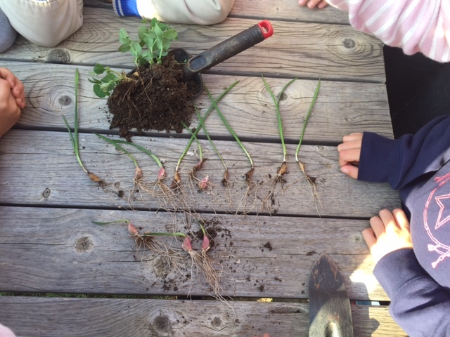 3r-A RECUPERACIÓ DE PÈSOLS I ALLS DEL CURS PASSAT