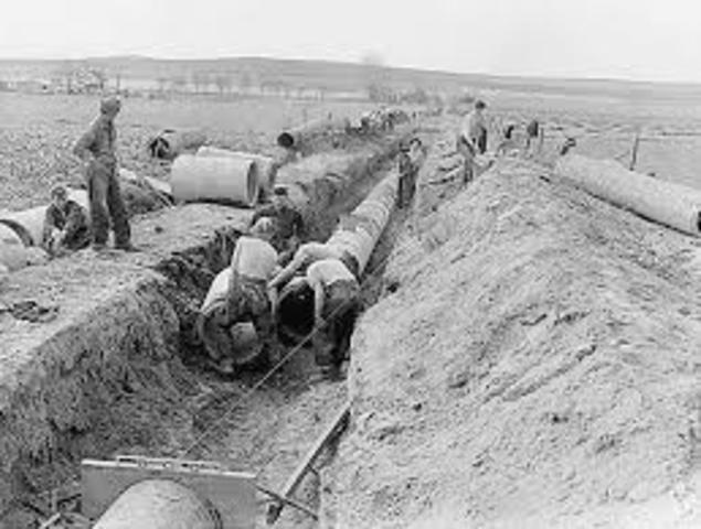 Civilian Conservation crops