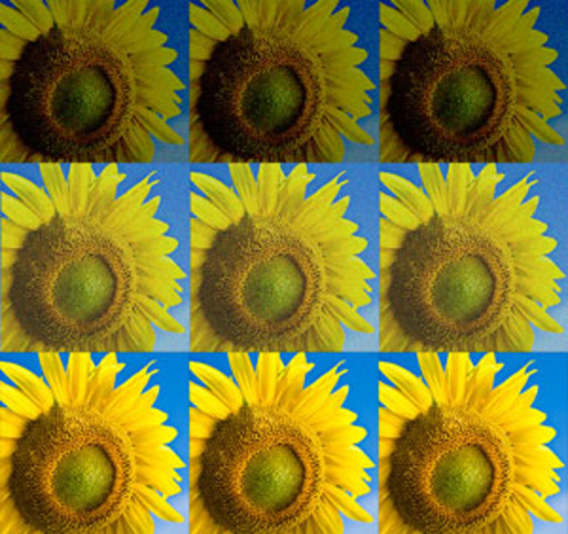 Improved Graphics Software