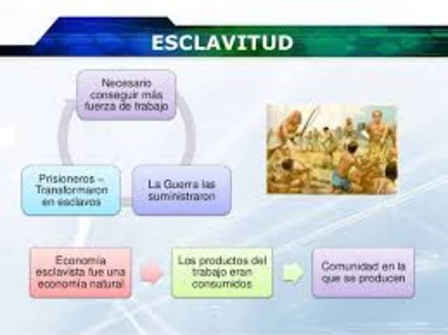 SISTEMA ESCLAVISTA: Agricola