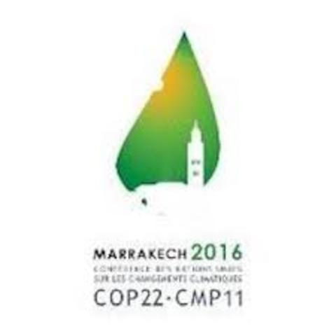 PROTOCOLO DE MARRAKETCH