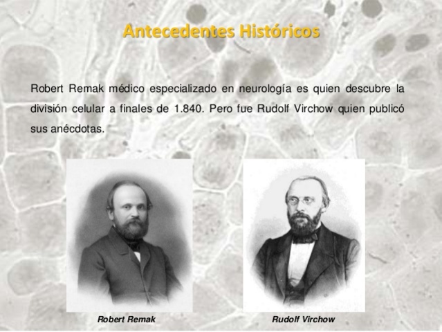 Robert Remarck y Rudolph Virchow