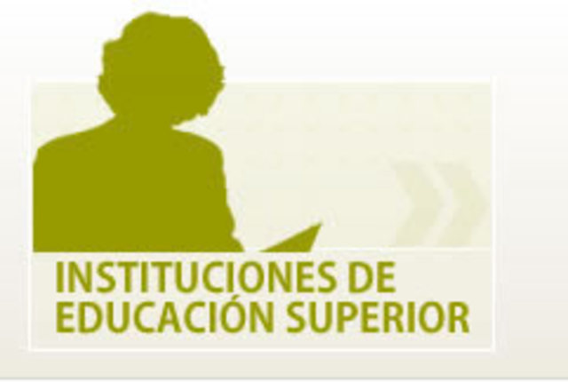 Lineamientos de incorporación TIC - IES