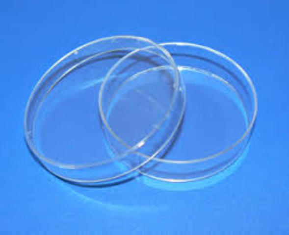 Construcción de la caja petri