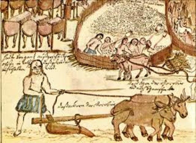 Domesticación de Especies Silvestres