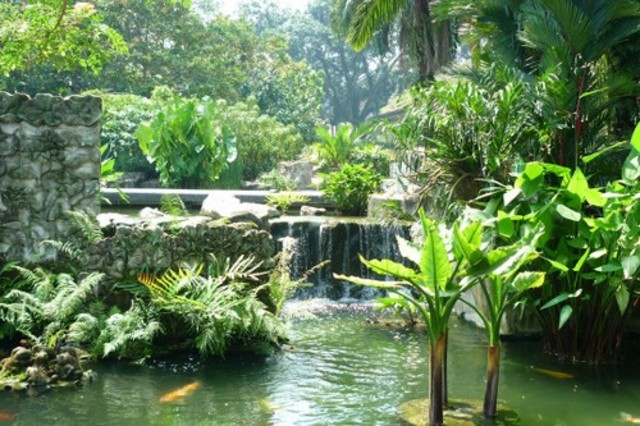 Licenciatura en Botanica