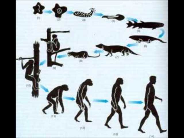 Pacífico de Sudamérica