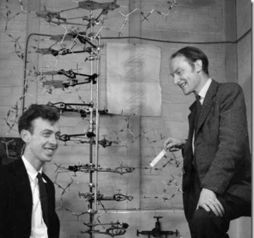 James Watson y Francis Crick El descubrimiento de la doble hélice