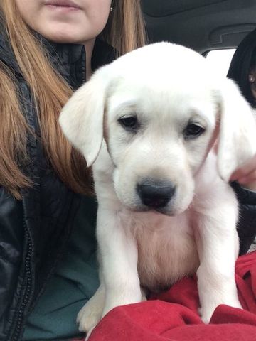 Jackson arrives at the Hines house