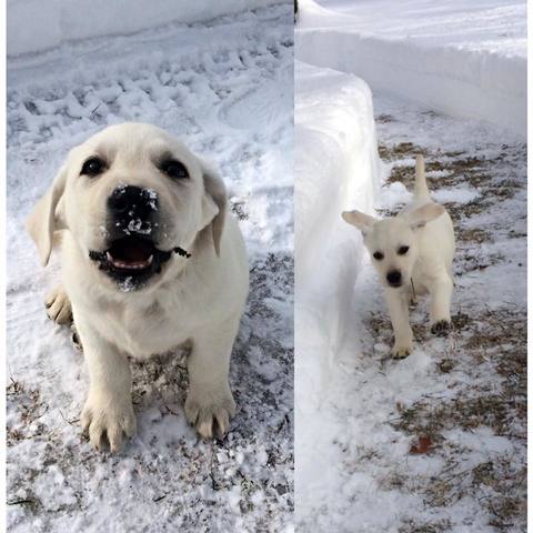 Jackson's first snow