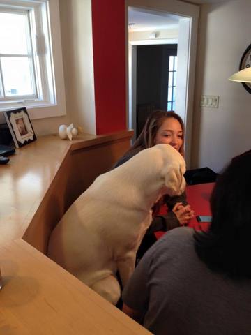 Jackson has breakfast at the table