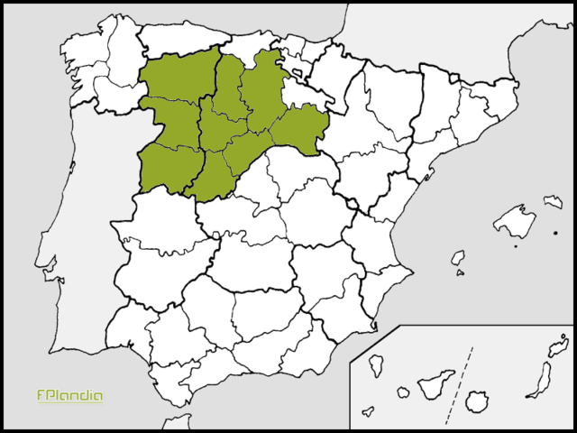 Reinos De Castilla Y León.