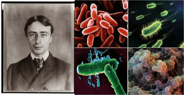 Sistema de Copeland 1956