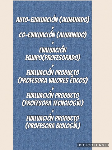 EVALUACIÓN FINAL 5ª SEMANA