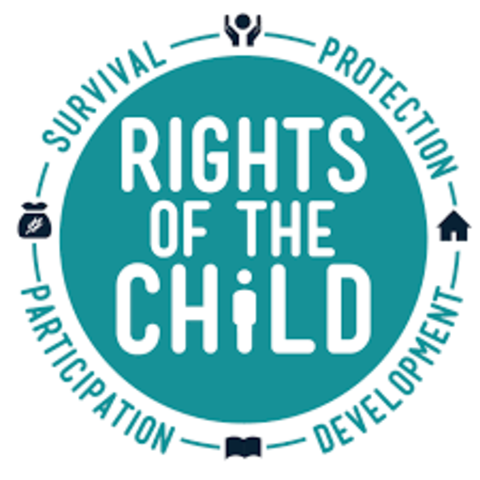 Political Constitution