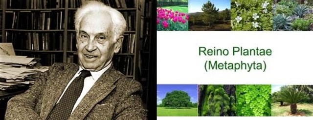 Una visión Tradicionalista Cuatro subdominios Mayr 1990