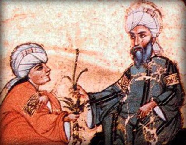 Virrey Abd al-Aziz ibn Amir