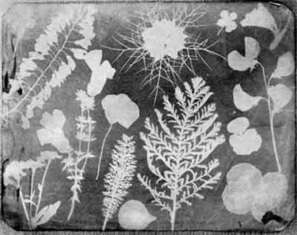 DIBUJOS FOTOGNICOS É IMAGENES LATENTES