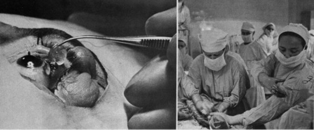 Las Especialidades medicas son creadas de manera formal