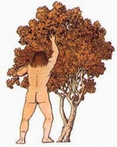 Aldeas se mantienen de caza y colectas intensivas