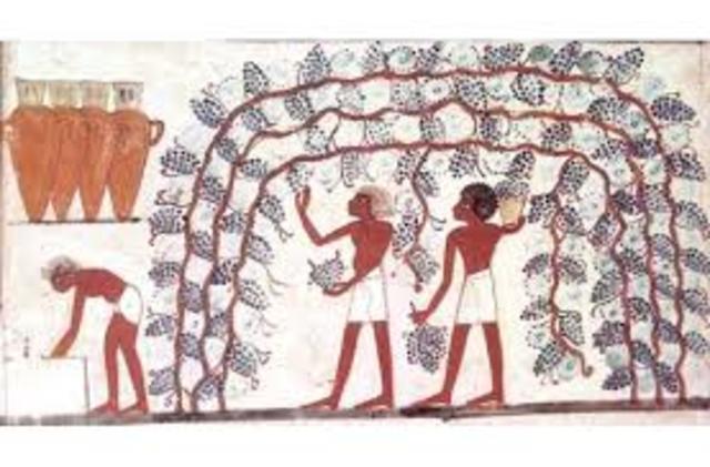 Evidencias de bebidas alcohólicas