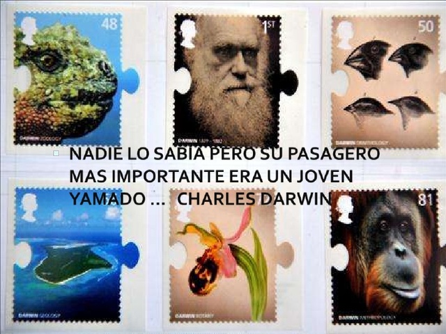 Darwin tendría que ampliar sus conocimientos