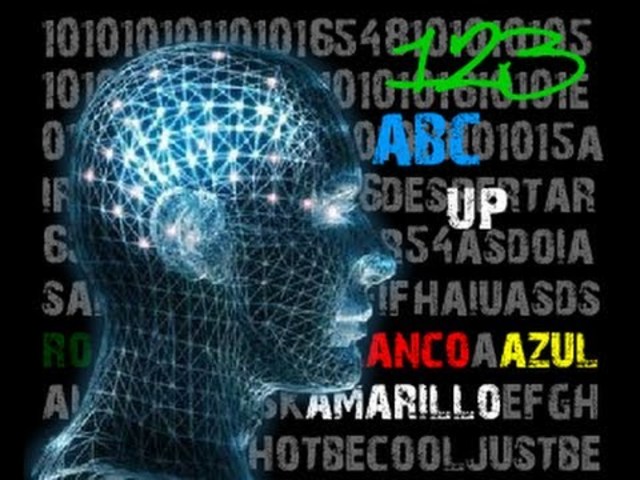 Tipos de organización nerviosa