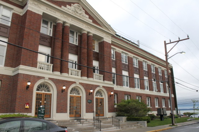 Studied at the Woods Hole Marine Biological Laboratory.
