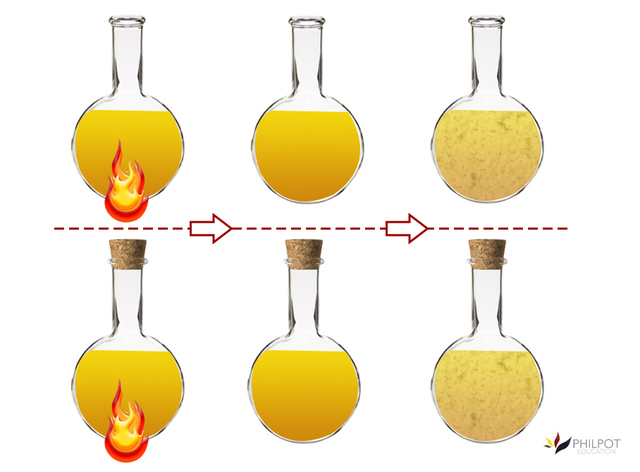 Needham/Spallanzani Controversy - John Turberville Needham Findings