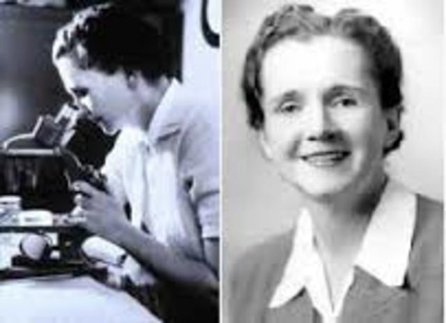 Rachel Carson assigned from a government