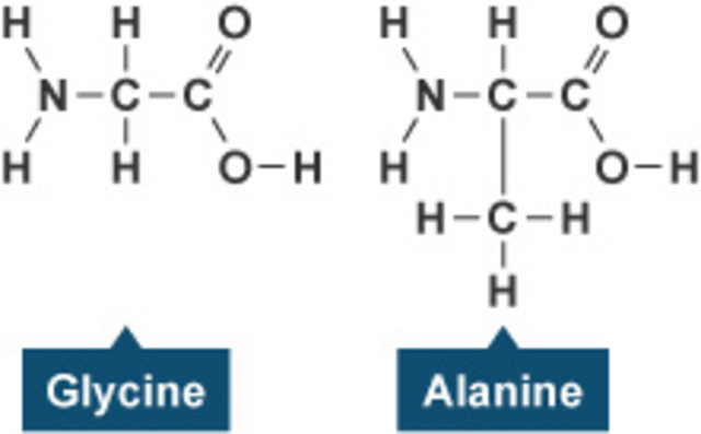 Urey–Miller Experiment - Amino Acids