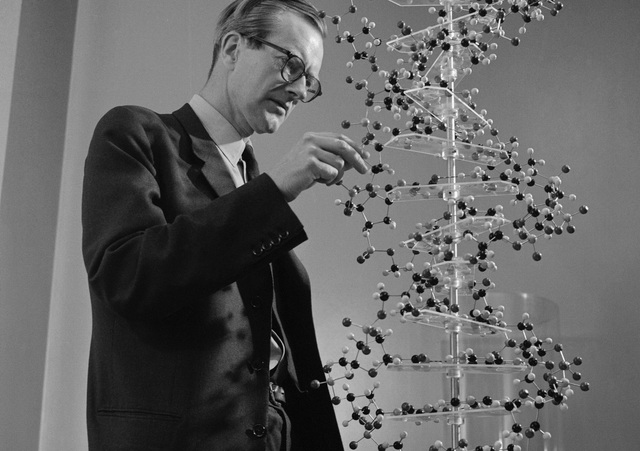 Maurice Wilkins