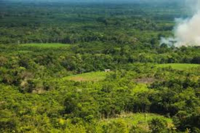 Acta general de cercado