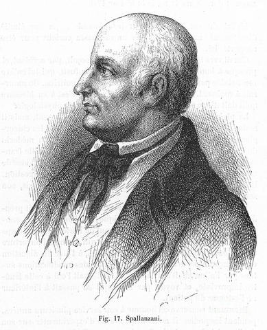 Lazzaro Spallanazani
