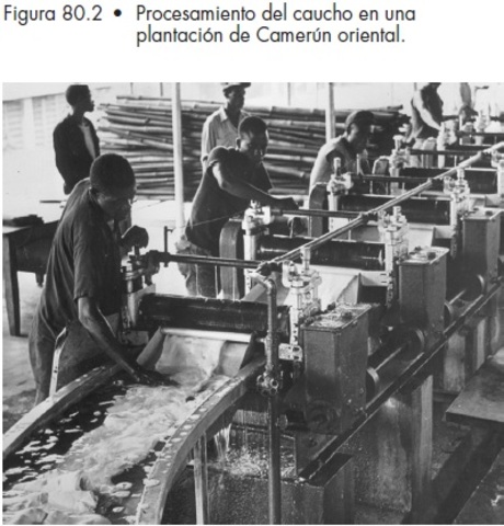 Invención del Proceso de vulcanización del caucho