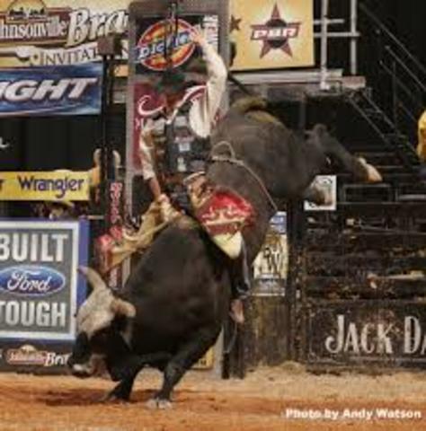 PBR RODEO!!