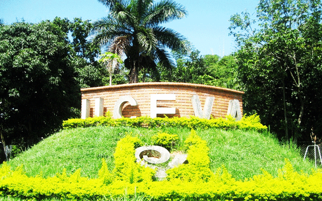 Unida Central Del Valle Del Cauca