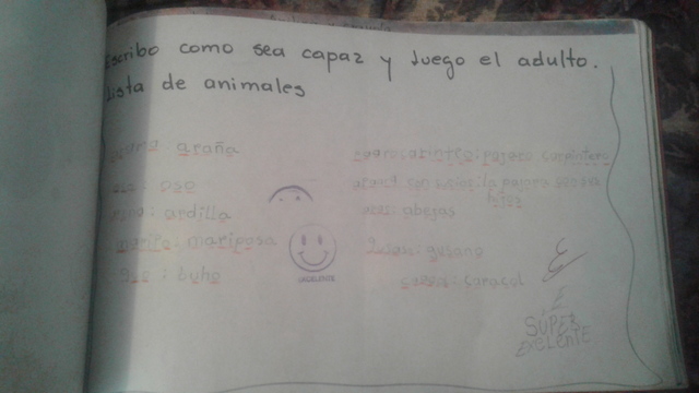 Uso del lapiz como herramienta para escribir