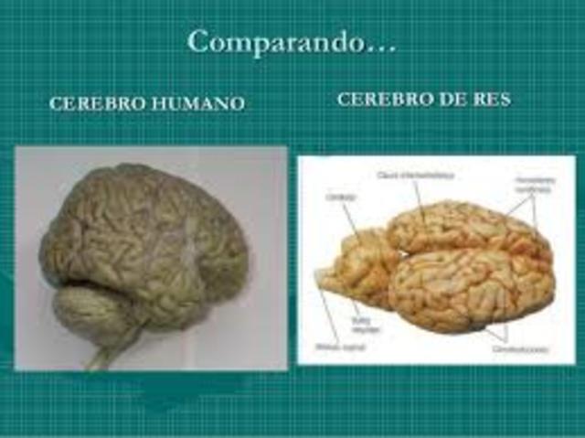 René Descartes&nbsp; SIGLO XVI